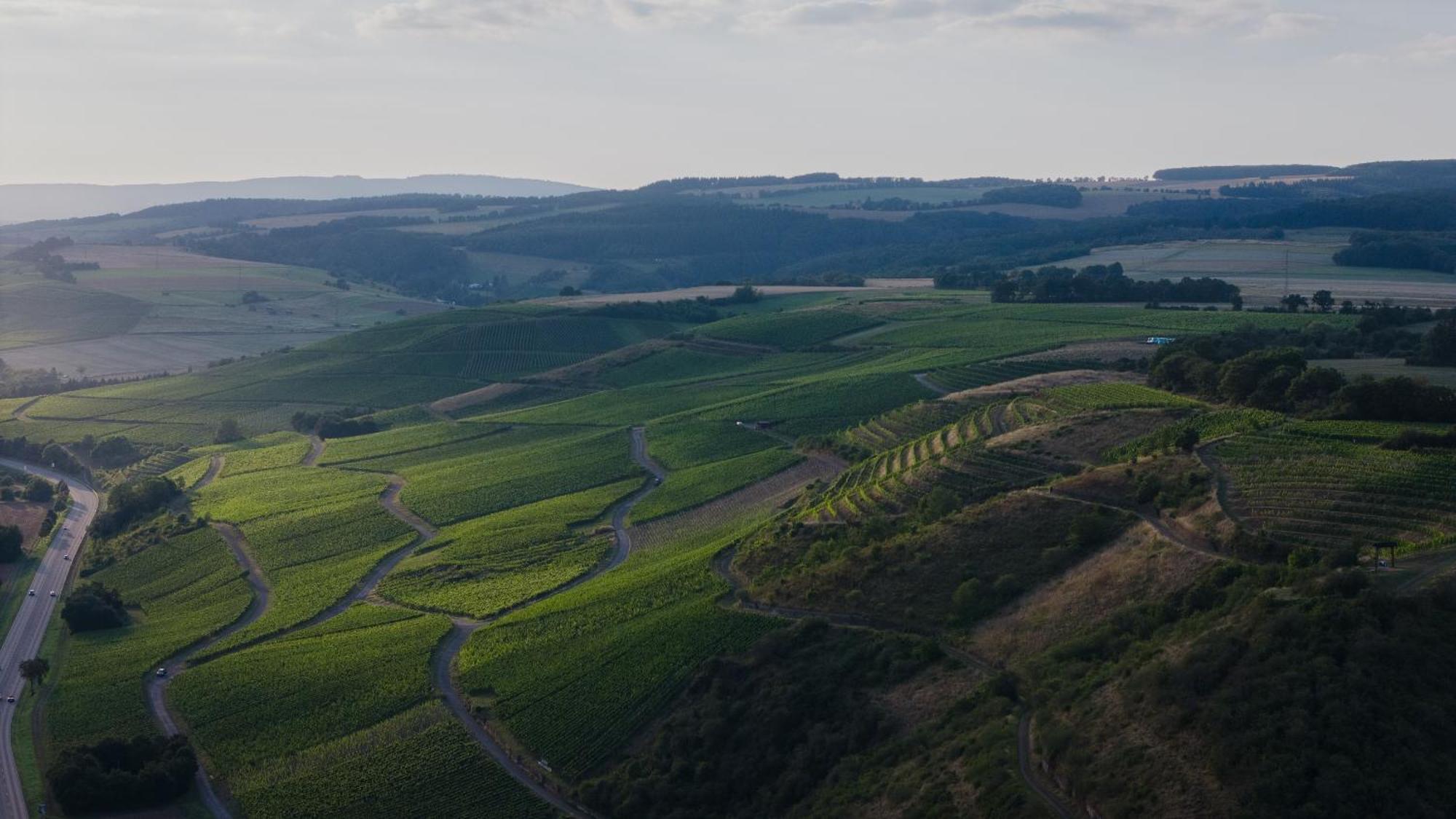 Weingut Und Gaestehaus Holger Alt Monzingen Exterior photo