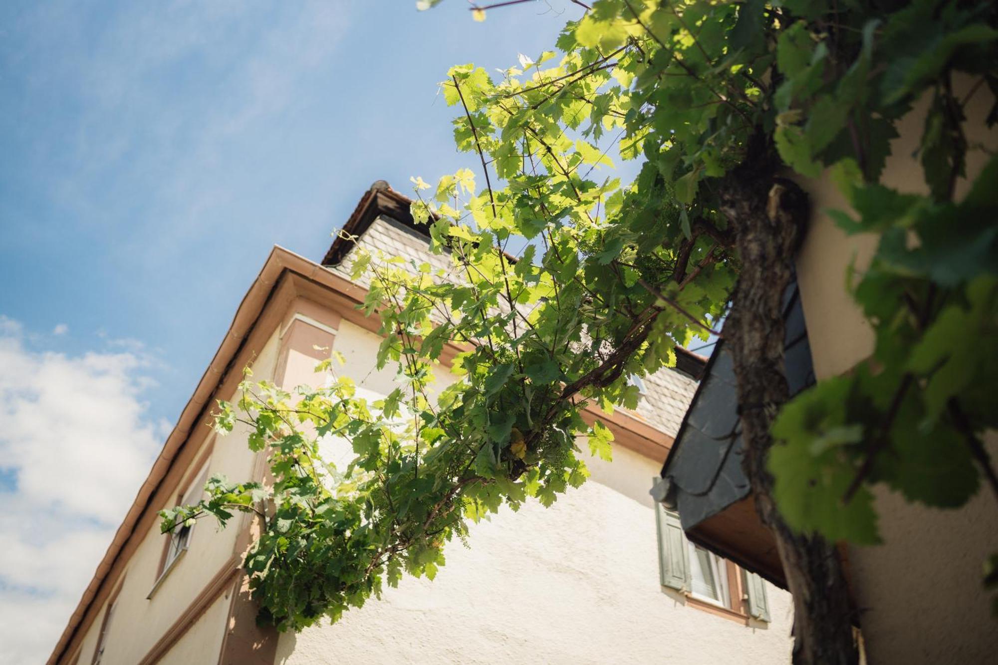 Weingut Und Gaestehaus Holger Alt Monzingen Exterior photo
